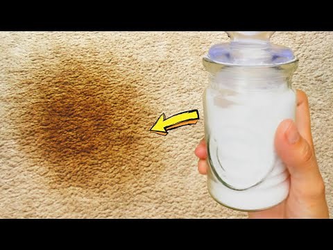 Homemade Carpet Stain Remover | Best DIY Spot Cleaner For Pet Odor And Old Stains
