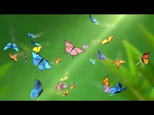 1 Hour Green Screen Butterfly Flying Animation Background| No Sound Loop | TV, Zoom Background