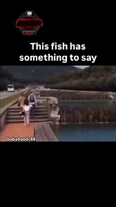 Classical singer 😌 #fish #memes #funny #viral #relatable #humor #dailymemes #foryou #baba #memeoftheday #reelsmemes #trendingmemes | Baba Hood