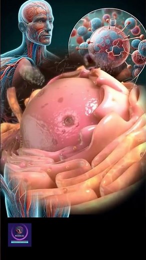 DNA Explained | Structure, Function & Importance of Genetic Material