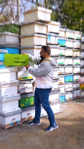 Become a part of the Pure Farms community! 🌿🐝 Sponsor a beehive and receive organic, pesticide-free honey directly from Lebanon’s finest beekeepers. Educational tours, personalized branding, and exclusive discounts await you! 🍯 Contact us: 📲 961 3 983 571 🔗 Link in bio. #savethebees #organichoney #beekeeping #sustainablefarming #puredarms #honeylovers #apitourism #supportLocal #lebanon | Pure Farms