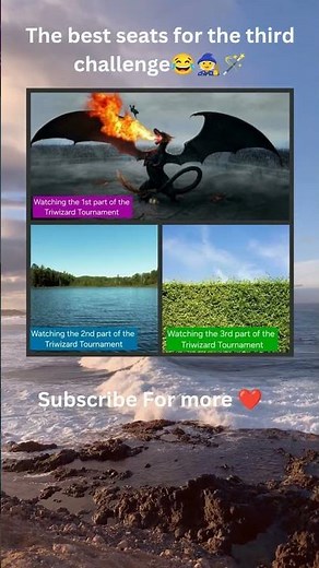 The best seats for the third challenge😂🧙🪄 #movie #books #hogwarts #harrypotter