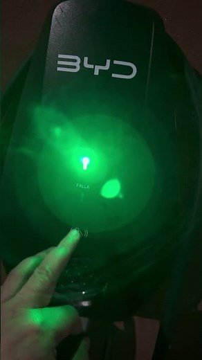 How to charge your BYD DOLPHIN mini