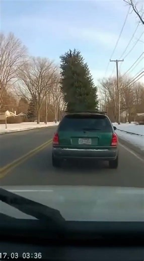 They Never Even Knew The Tree Was Gone 😭💀