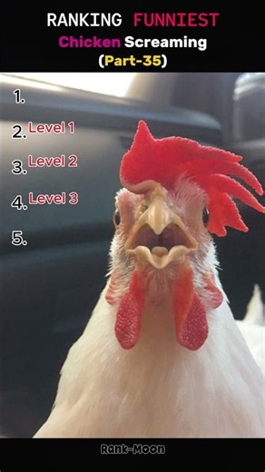 Ultimate Rubber Chicken Screaming Ranking 💀 (Part 35)