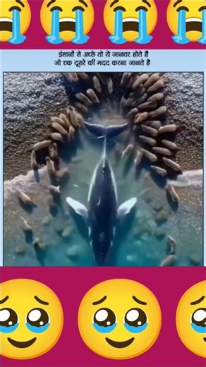 Ae Dil Hai Mushkil😭😭🥹🥹🥹🥹🥹🥹🥹🥹🥹🥹🥹🥹🥹🥹😭#shortvideo