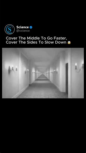 Science | 🏃Visual Perception: The Optic Flow Mechanism Your Brain Does Not Measure Speed By Looking Straight Ahead. 🏎️ It Primarily Relies On Optic... | Instagram