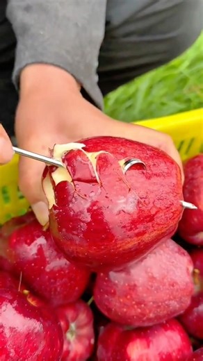 Expert Fruit Harvesting and Processing Efficient Apple Coring Techniques