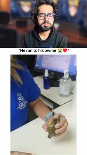 Toheed Mehrani on Instagram: "He ran to@his owner 😭💀😂 Biochemical engineering, or bioprocess engineering, applies chemical engineering principles and biotechnology to design, develop, and scale up manufacturing processes using biological agents like cells, enzymes, or microorganisms. It transforms laboratory research into industrial-scale production for pharmaceuticals, food, biofuels, and environmental waste management. Key Aspects of Biochemical Engineering: Core Functions: It focuses on up