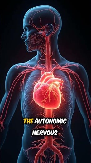 Your Heart Beats Differently With Music