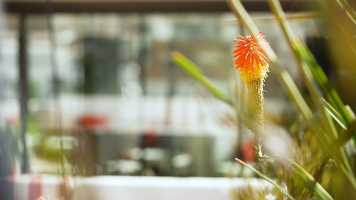 Azimuth | Rooftop Bar and Dining in Barcelona City Centre | Almanac Barcelona