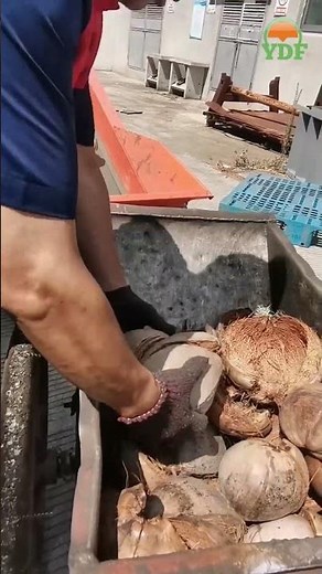Coconut Husk Shredder Machine / Coconut Husk Pulverizer / Coconut Husk Crusher