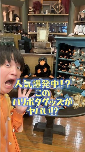 【USJ】過去最高に可愛い!!ハリーポッターグッズ #usj #ユニバ #shorts #ハリーポッター