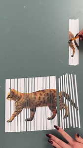 171K views · 87 reactions | Crazy Optical Illusion | Creative Ideas | Facebook