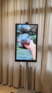 Only one thing on our mind lately 🦛💗 How will you use the PRISM Roam Ultra 32? | PRISM