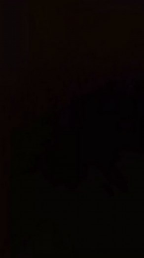 31K views · 34 reactions | By • @assal_khattab Broken file management explained in animation, with a 2-year follow-up — the tooth is still fully functional! | identistry | Facebook