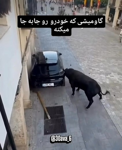 Telecom Job on Reels