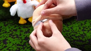 Skylety 6 Pcs Chicken Stuffed Animal with Baby Chicks Inside Chicken Plush Toy for Kids Stuffed Animal Egg Laying Hen with Zippered Belly Farm Plushie for Birthday Gift(Cute Style)