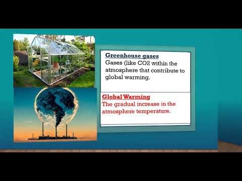 Gr12 Economics(P2) : Environmental Sustainability