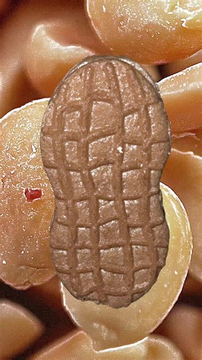 DENY | deny in spanish