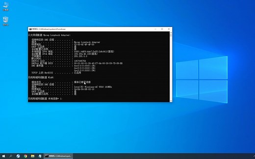 8.ipconfig all查看计算机网络信息？
