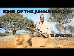 Hunting Lion and plains game with Thwane Safari's Africa.