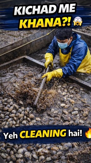 Kichad Me Seafood Cleaning!