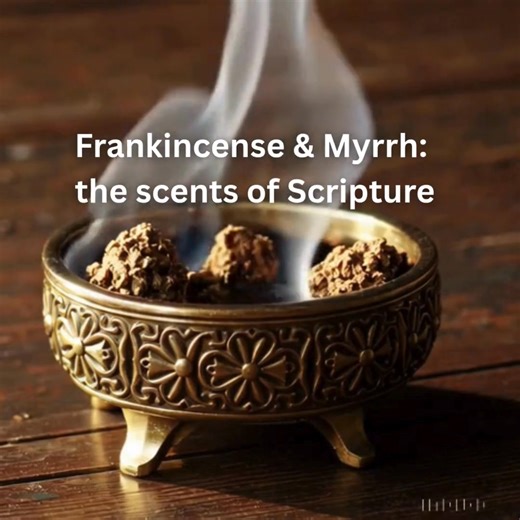 29 reactions | Did you know Frankincense and Myrrh were among the most sacred oils in the Bible? Blended in Jerusalem, this anointing oil carries the same fragrance of Scripture: pure, holy, and timeless.   From the Holy Land to your hands. Find them at halleluyah.com #AnointingOil #HolyLandInYourHands #FaithTradition | Halleluyah | Facebook