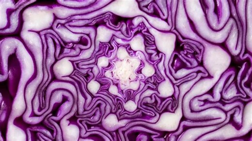 Rotkohl im ÖKO-TEST: So gut sind die Produkte aus der Konserve