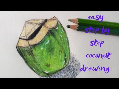 Green Coconut Drawing for Beginners | Realistic Art Tutorial
