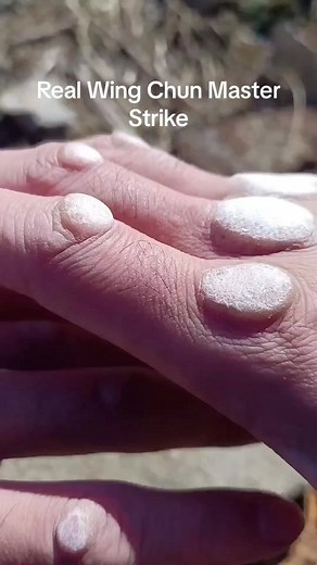 Real Wing Chun Master Strike - Shocking Kung Fu Fight