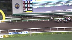 78K views · 368 reactions | 今季最大贏馬距離9馬位，好癲呀！ 下載新App馬場BOSS：...