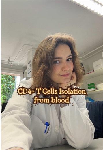 Isolating T Cells from PBMCs: A Lab Overview