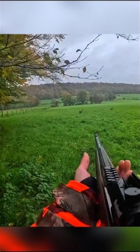 Fast Moving Deer Hunt Incredible Kill Shot #deerhunt #hunting #harehunting #hunt #huntgear