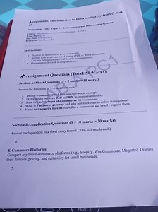 Assignment: Introduction to Information Systems (Level 2)Assi... | Filo