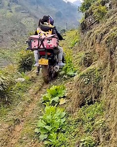 Skillfully driving up a narrow and steep road! | Simple ideas