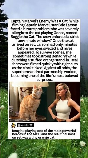 How Brie Larson Filmed With Goose