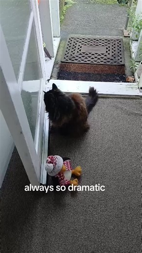 Plasma Update (@plasma.update)’s videos with original sound - Plasma Update