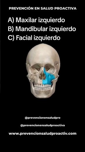 💀QUIZ de Anatomía HUESOS del cráneo y cara🩻