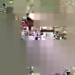 Wombats sometimes bite their mate’s butts when they’re in the mood. | Seeker by The Verge