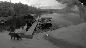 Valley News Live on Reels