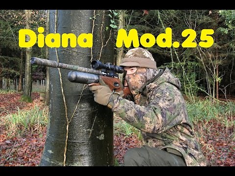 Diana Model 25 - Luftgewehr Bj. 1930 im Test