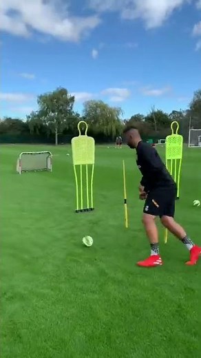 Training with a size 1 ball