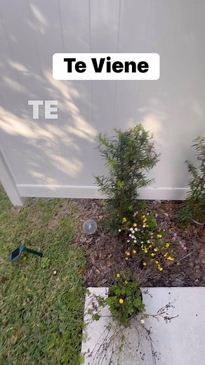 316K views · 14K reactions | #ACEPTA #ParaTiii #motivation #evolution | Energy Relaxing Music | Facebook