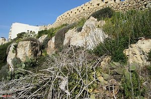 EPRT upholds ERA’s suspension plea against Żebbuġ, Gozo development - The Malta Independent