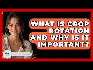 What Is Crop Rotation And Why Is It Important? - Stress Free Mindset