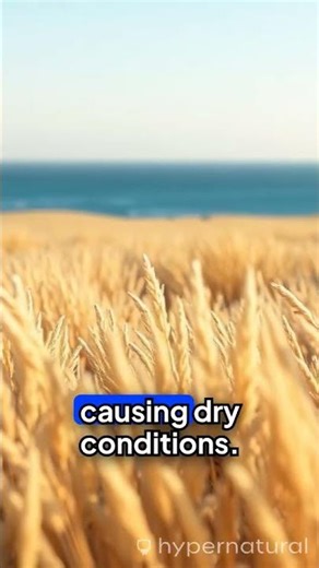 Understanding Monsoons in 30 Seconds