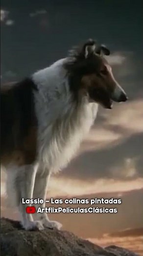Lassie - The Painted Hills (1951) is now available on Artflix!