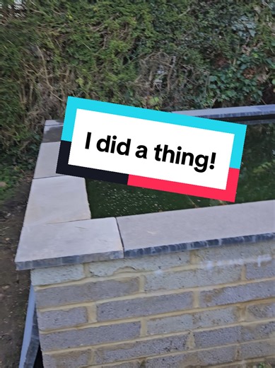 Creating a Beautiful Koi Pond: Tips and Tricks