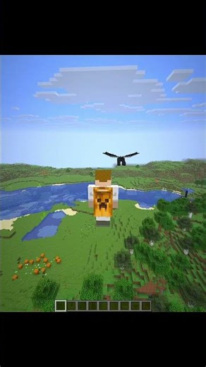 Minecraft Insane Commands Moment 💀